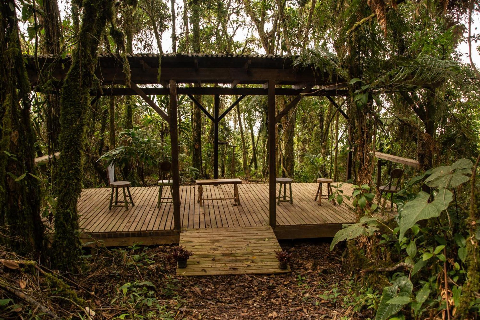 Villa Owl'S Watch At Rio Blanco Manizales Exterior foto