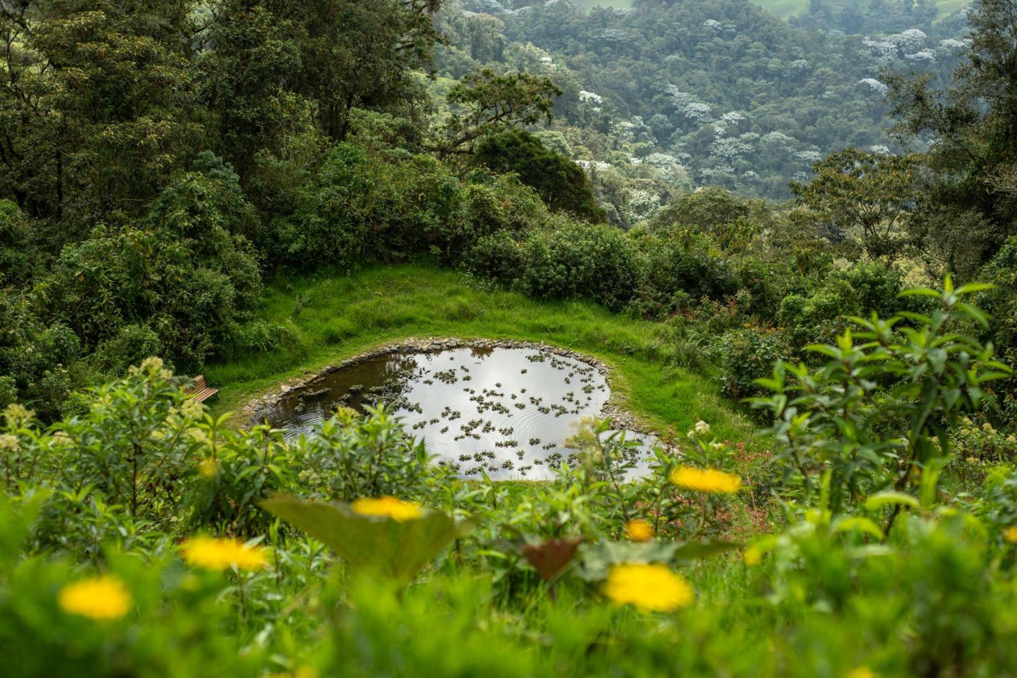 Villa Owl'S Watch At Rio Blanco Manizales Exterior foto