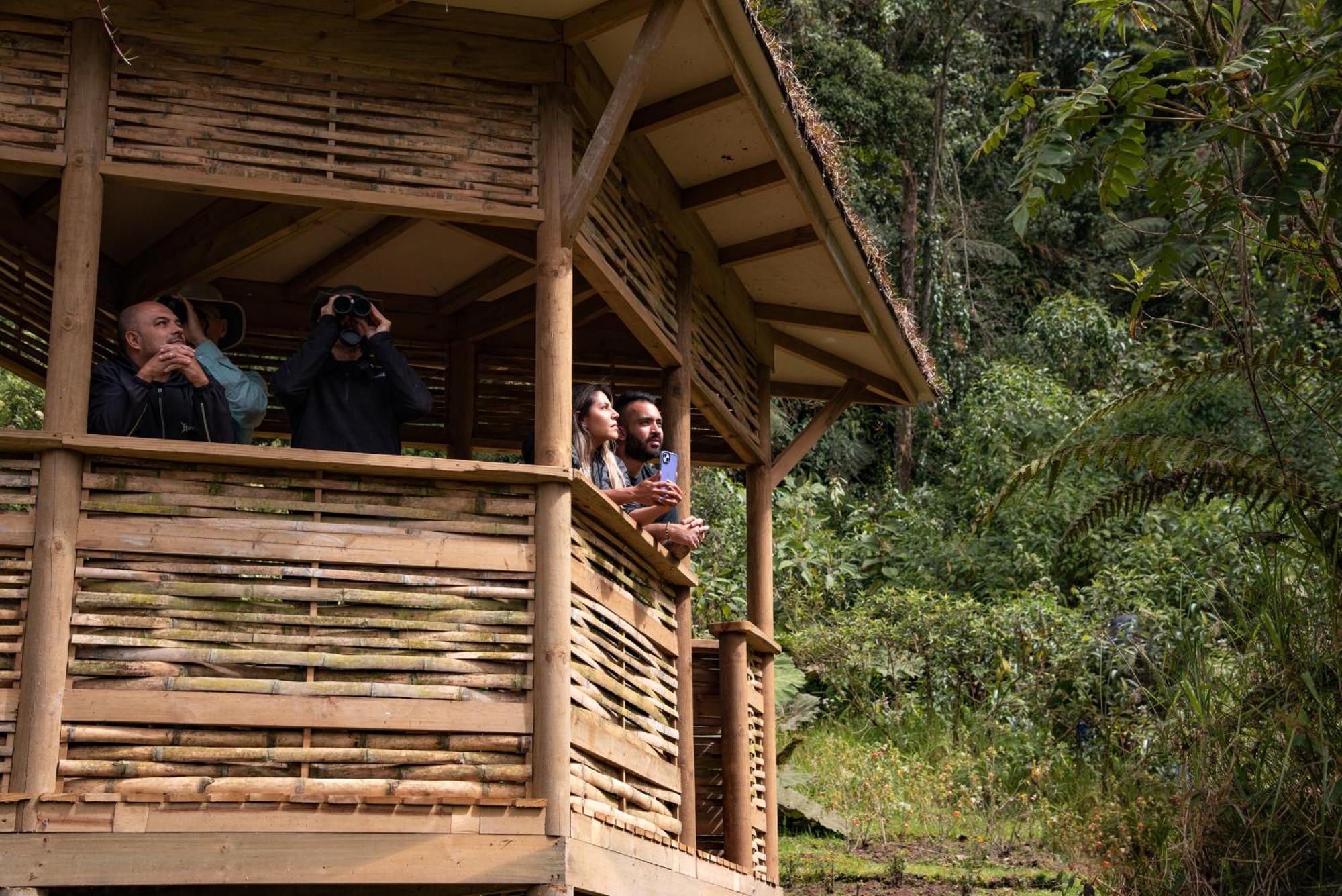 Villa Owl'S Watch At Rio Blanco Manizales Exterior foto